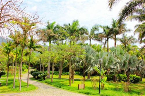 一人食米excusemi