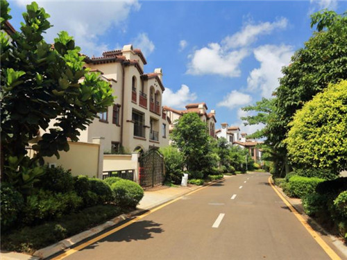 歪果仁煎饼果子