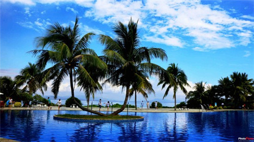 食欲侠五谷煎饼果子