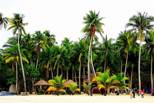 吉多方台式牛肉面