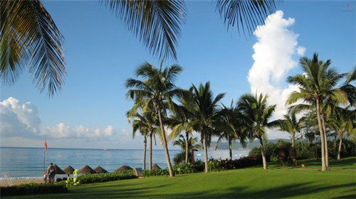 魅惑大咖海鲜焖面