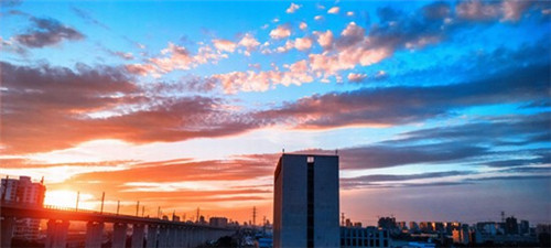 上海特味鸡柳鸡排