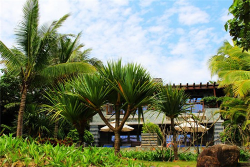 辍学创业开服装店怎么样