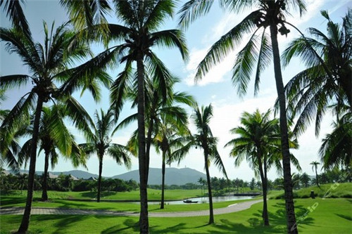 溪羽的茶加盟在上蔡县开店能赚钱吗，上蔡县奶茶开店是加盟还是自营好