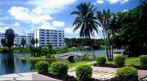 为什么我会日语歌（为什么日语歌好唱）